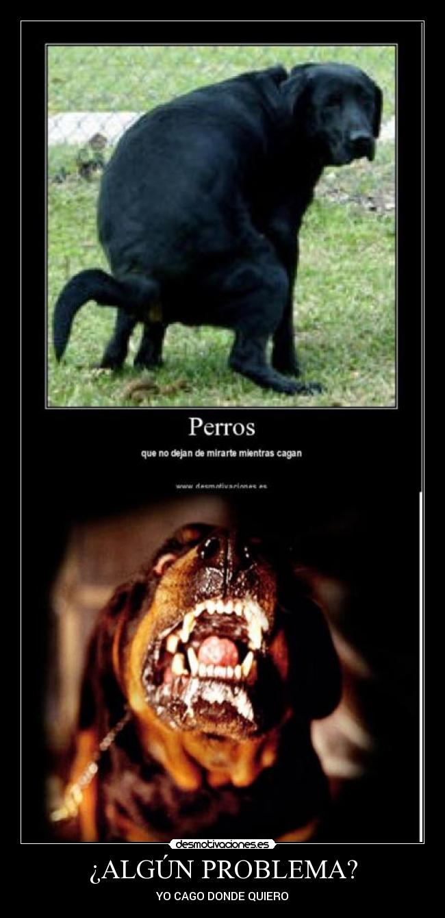 ¿ALGÚN PROBLEMA? -