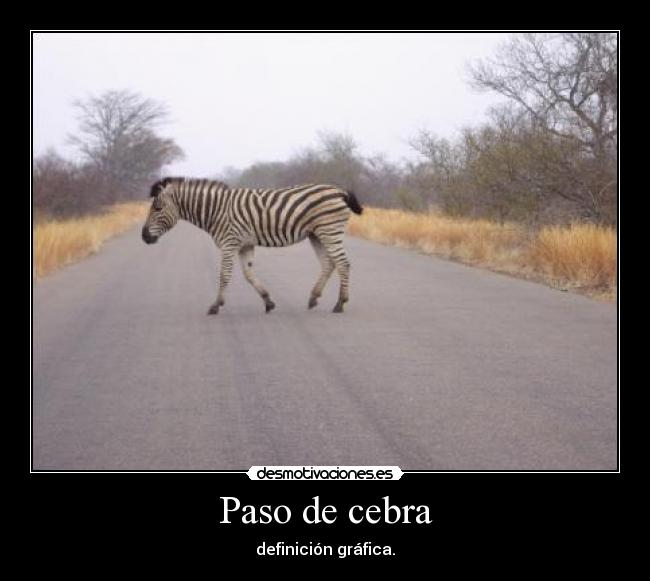 Paso de cebra -