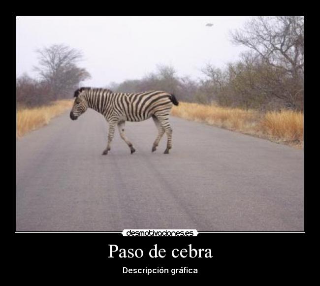 Paso de cebra - Descripción gráfica