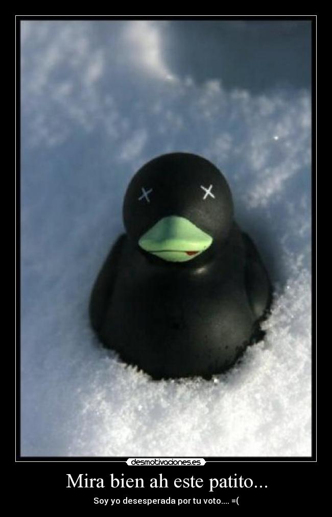 Mira bien ah este patito... -