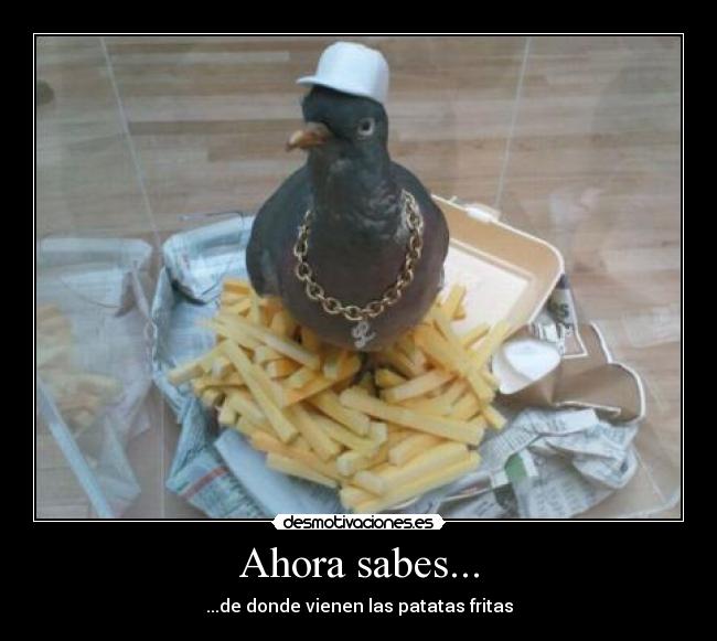 Ahora sabes... - ...de donde vienen las patatas fritas