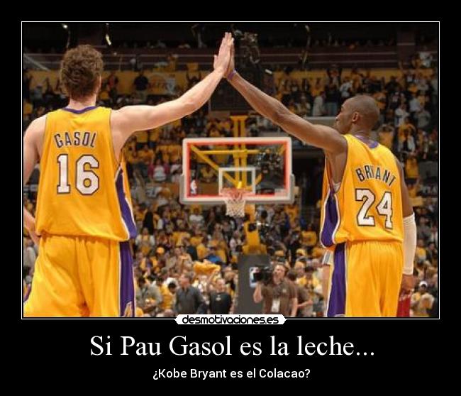 Si Pau Gasol es la leche... - ¿Kobe Bryant es el Colacao?