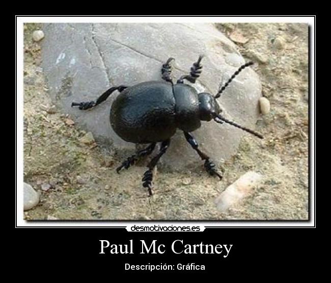 Paul Mc Cartney -
