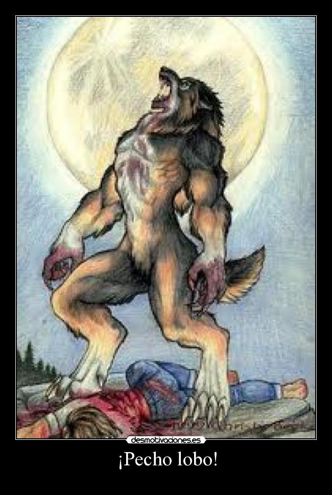 ¡Pecho lobo! -