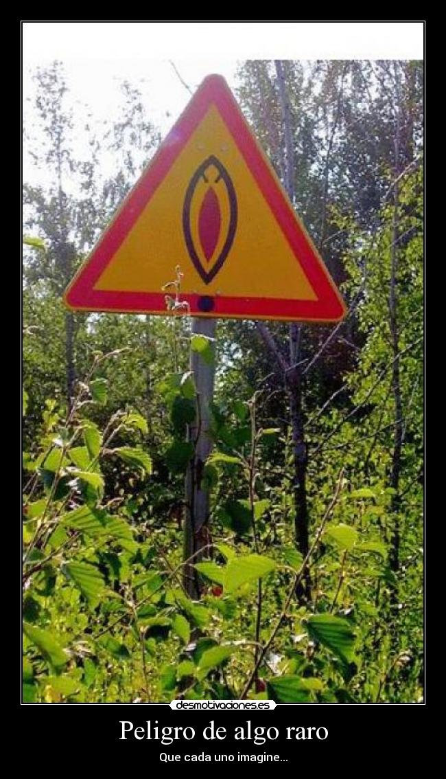 carteles peligro algo raro desmotivaciones