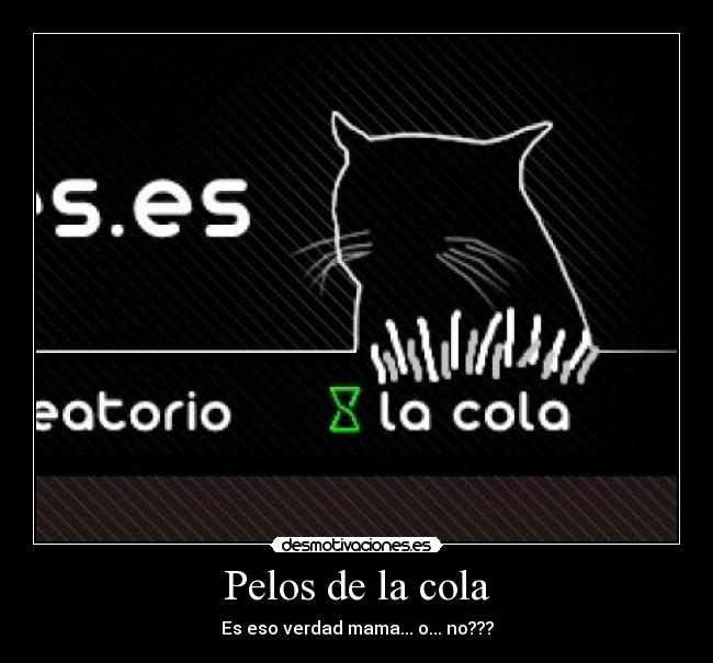 carteles pelos cola desmotivaciones