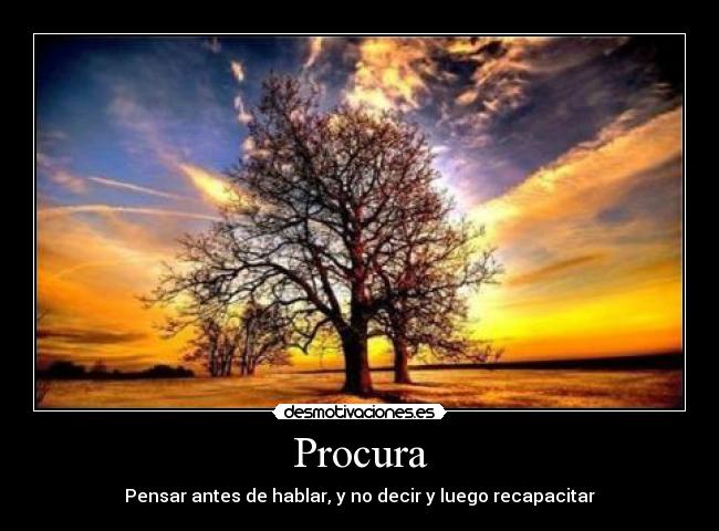 Procura - Pensar antes de hablar, y no decir y luego recapacitar