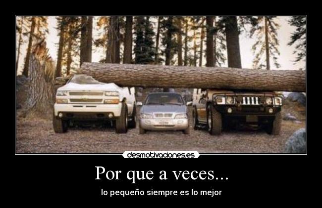 Por que a veces... - lo pequeño siempre es lo mejor