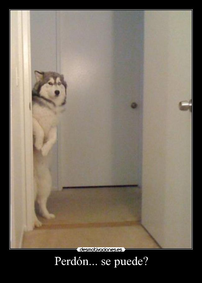 carteles helen475 desmotivaciones