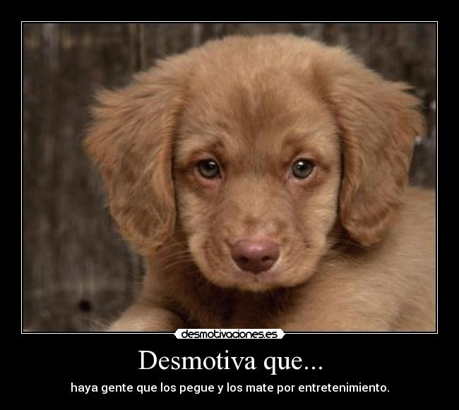 Desmotiva que... -