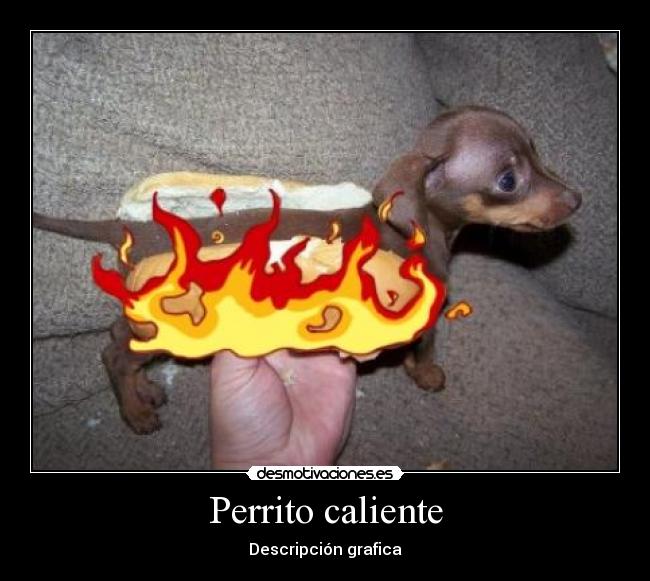 Perrito caliente -