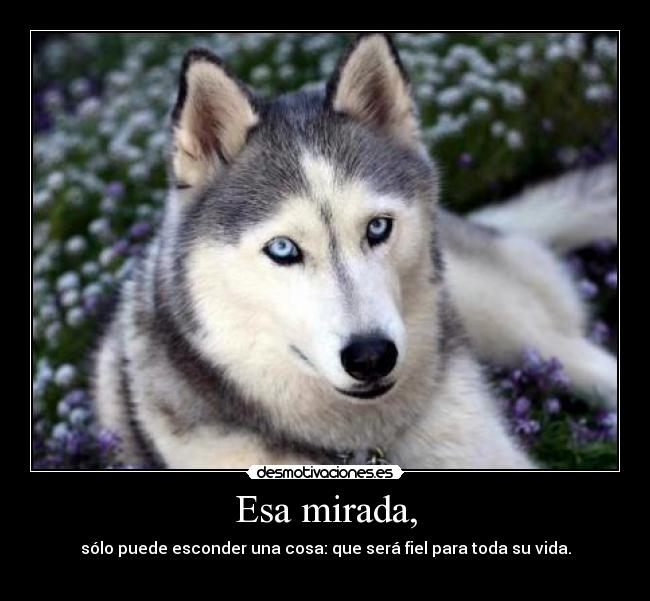 Esa mirada, - sólo puede esconder una cosa: que será fiel para toda su vida.
