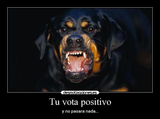 Tu vota positivo -
