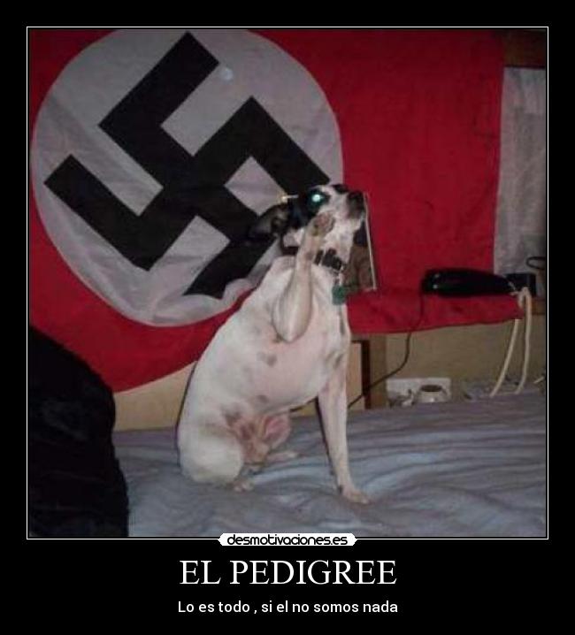 EL PEDIGREE - 