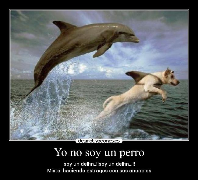 Yo no soy un perro -