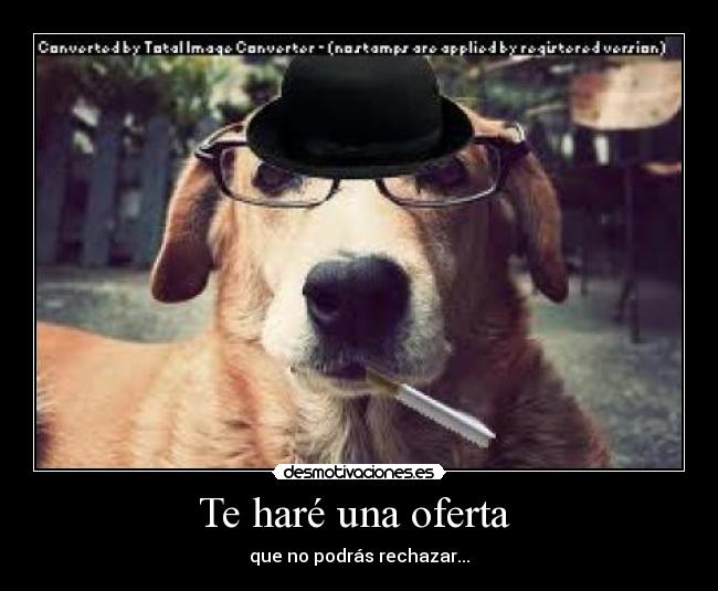 Te haré una oferta  - que no podrás rechazar...
