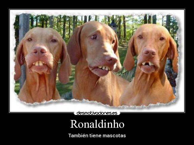 Ronaldinho - También tiene mascotas