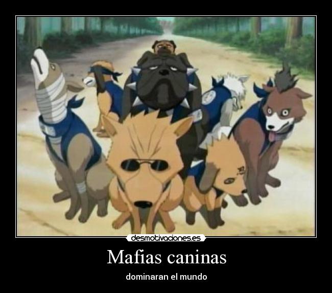 Mafias caninas - dominaran el mundo