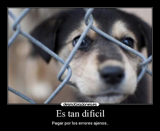 Es tan dificil - Pagar por los errores ajenos..