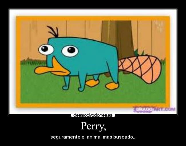 Perry, -