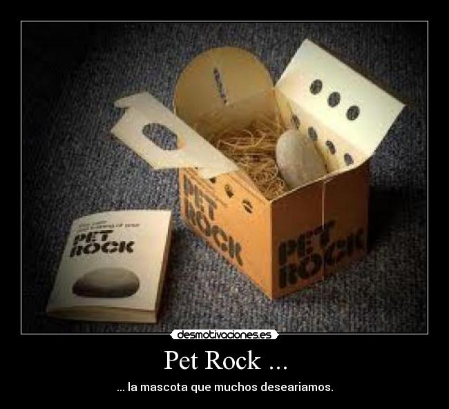 Pet Rock ... -