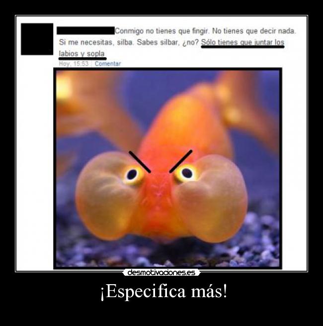 ¡Especifica más! -