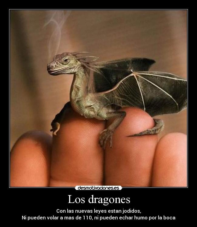 Los dragones - Con las nuevas leyes estan jodidos,
Ni pueden volar a mas de 110, ni pueden echar humo por la boca