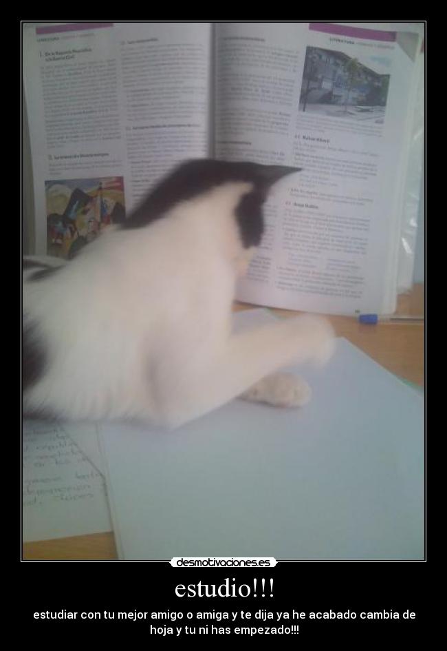 estudio!!! - estudiar con tu mejor amigo o amiga y te dija ya he acabado cambia de
hoja y tu ni has empezado!!!