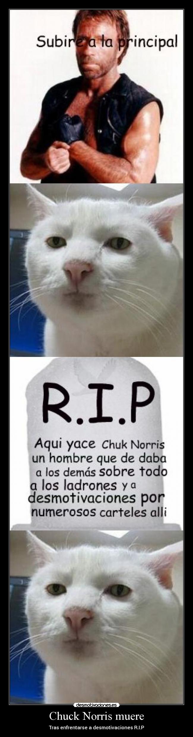 Chuck Norris muere -