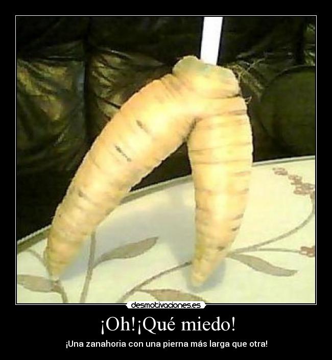 carteles miedo alfervi desmotivaciones