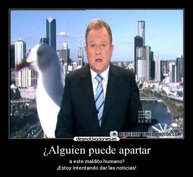 ¿Alguien puede apartar -