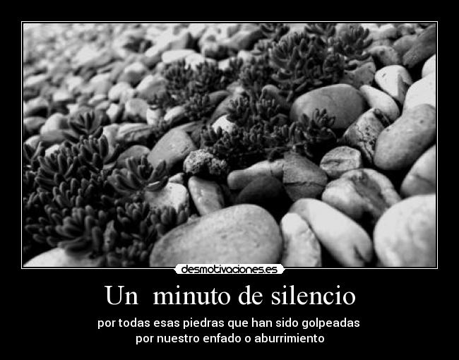 Un minuto de silencio - por todas esas piedras que han sido golpeadas
por nuestro enfado o aburrimiento