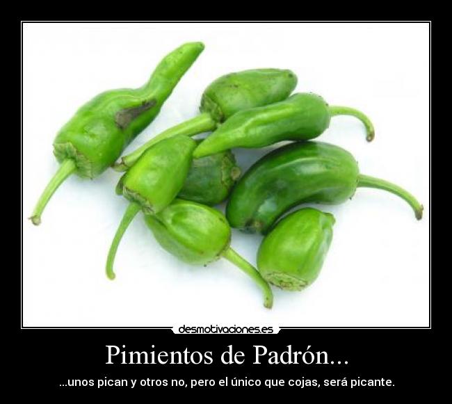 Pimientos de Padrón... -