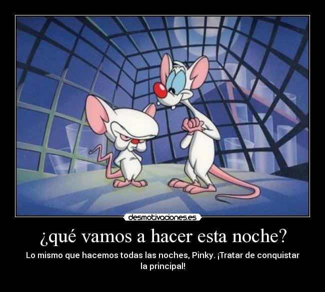 ¿qué vamos a hacer esta noche? -