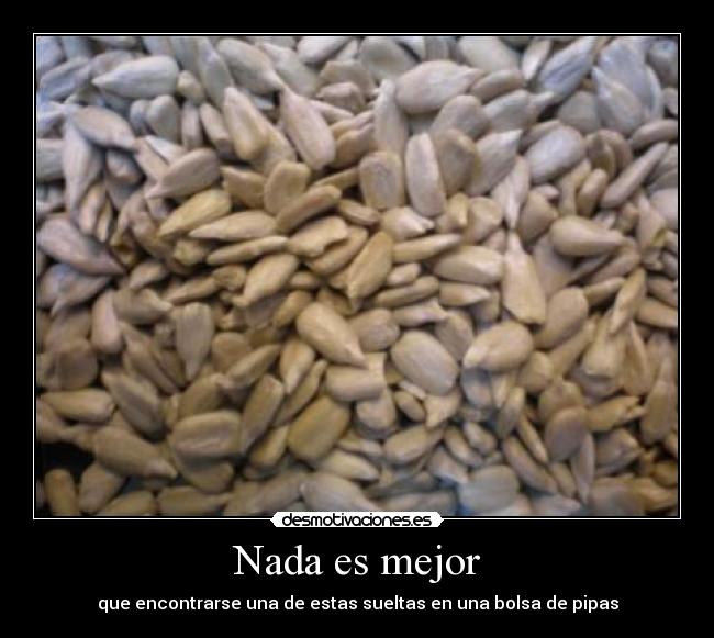 Nada es mejor - que encontrarse una de estas sueltas en una bolsa de pipas