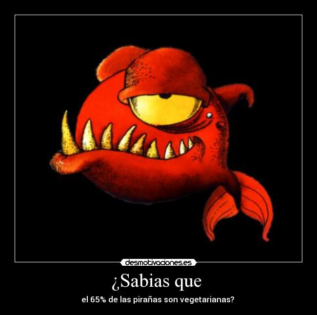 carteles piranas desmotivaciones