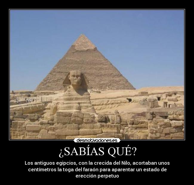 ¿SABÍAS QUÉ? - Los antiguos egipcios, con la crecida del Nilo, acortaban unos
centímetros la toga del faraón para aparentar un estado de
erección perpetuo