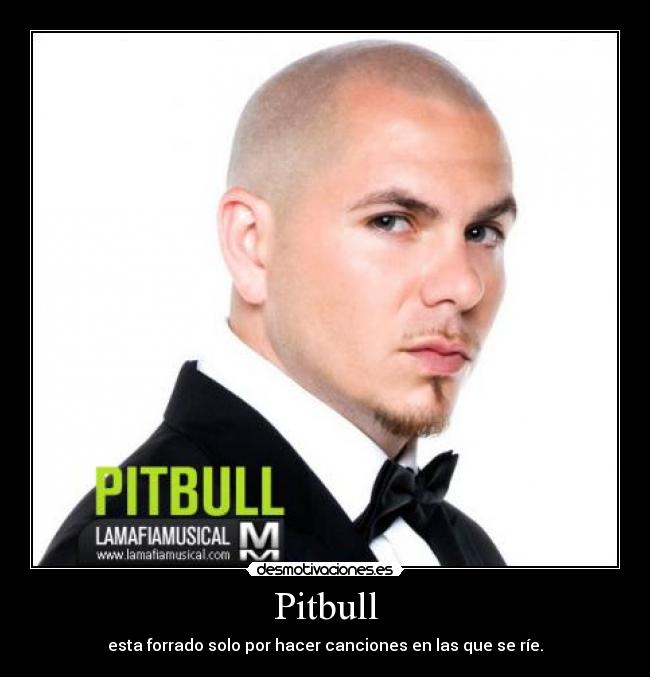 Pitbull -