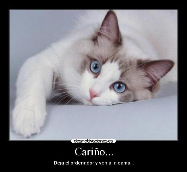 Cariño... - Deja el ordenador y ven a la cama...