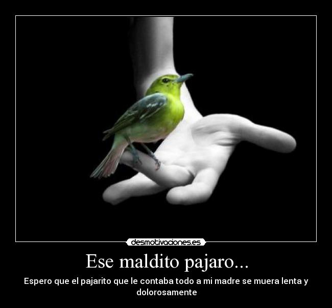 Ese maldito pajaro... - Espero que el pajarito que le contaba todo a mi madre se muera lenta y dolorosamente