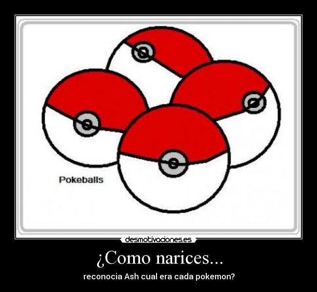 ¿Como narices... - reconocia Ash cual era cada pokemon?