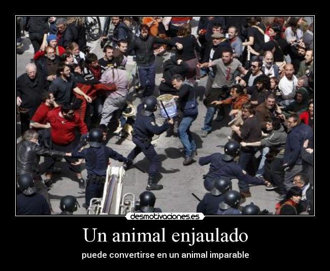 Un animal enjaulado -