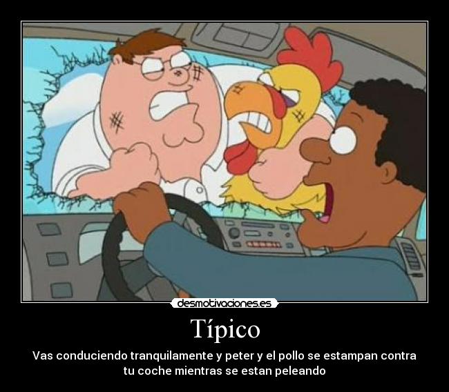 Típico - Vas conduciendo tranquilamente y peter y el pollo se estampan contra
tu coche mientras se estan peleando