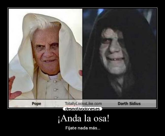 ¡Anda la osa! - Fíjate nada más...