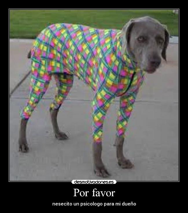 Por favor -