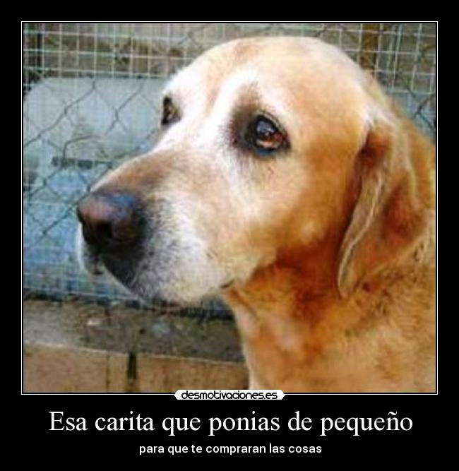 Esa carita que ponias de pequeño -