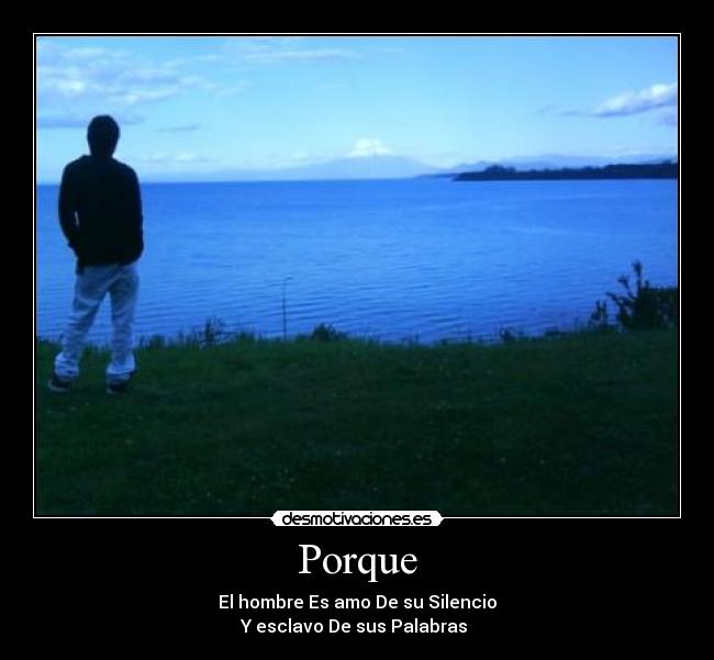 carteles amosilencio desmotivaciones