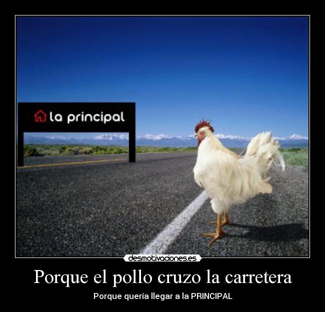 Porque el pollo cruzo la carretera - 