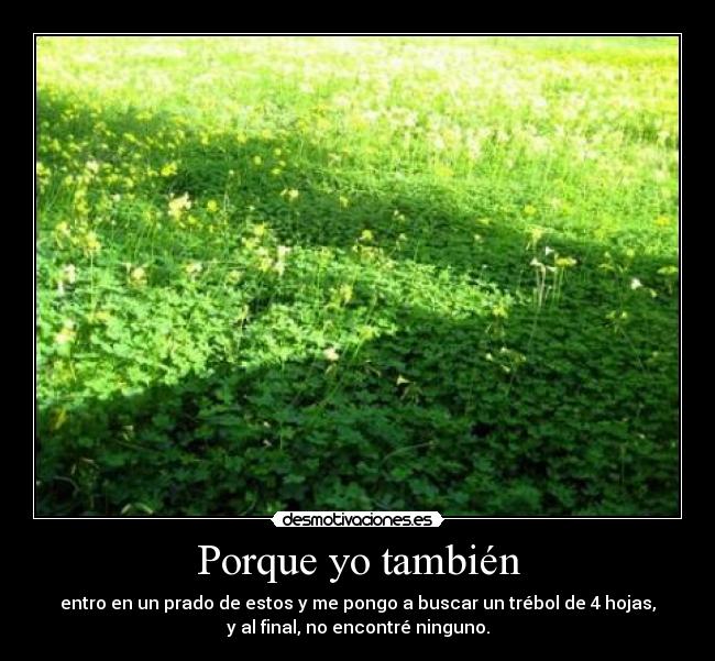 Porque yo también - entro en un prado de estos y me pongo a buscar un trébol de 4 hojas,
y al final, no encontré ninguno.