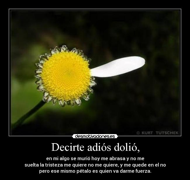 Decirte adiós dolió, -